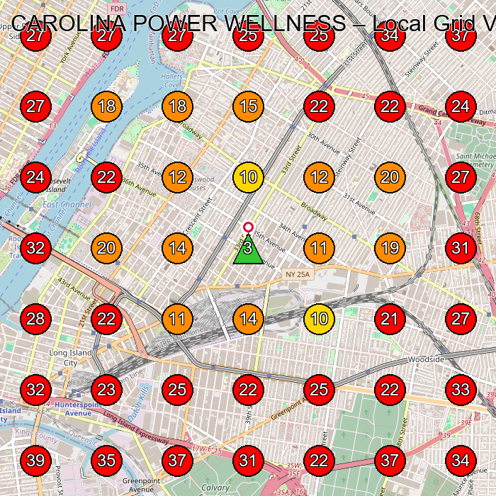 CAROLINA POWER WELLNESS GeoGrid visibility map for Medical Spa in Long Island City